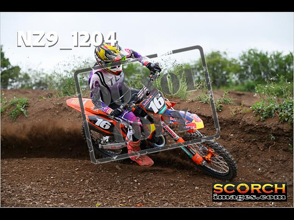 Experts-418
