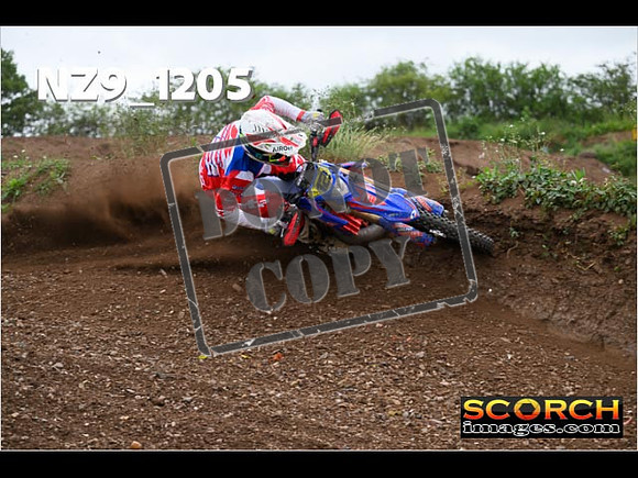Experts-419
