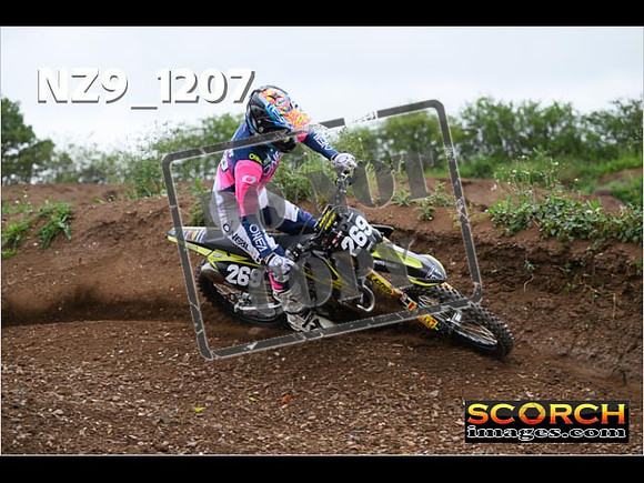 Experts-421