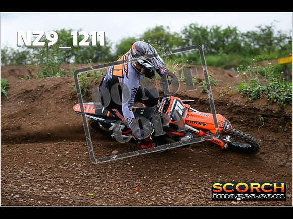Experts-424