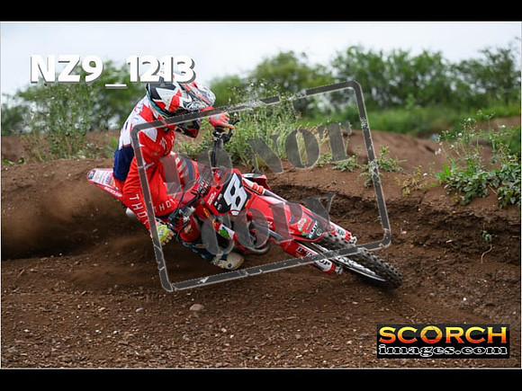 Experts-425