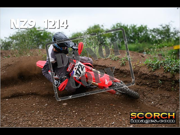 Experts-426