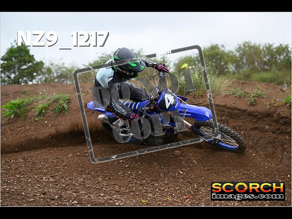 Experts-428
