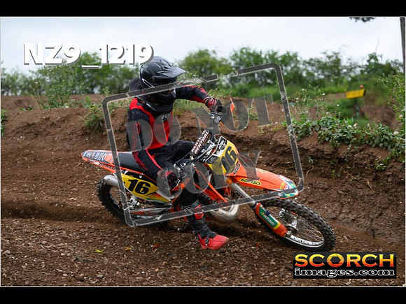 Experts-429