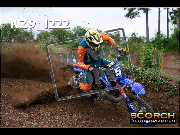 Experts-431