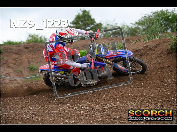 Experts-432
