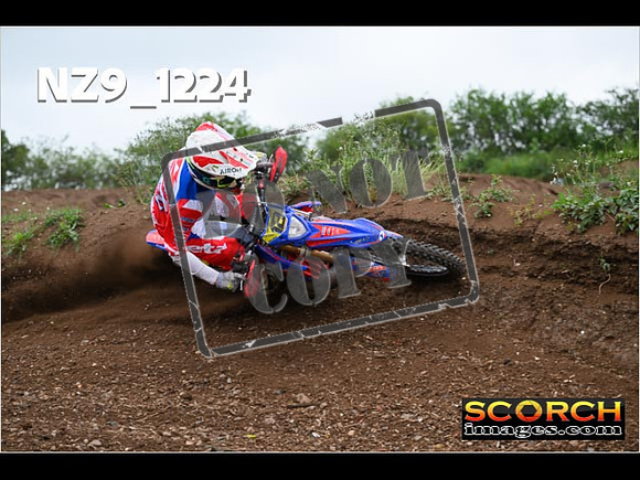 Experts-433