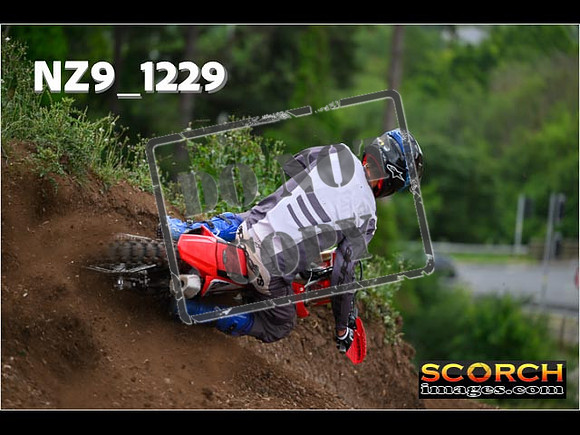 Experts-438