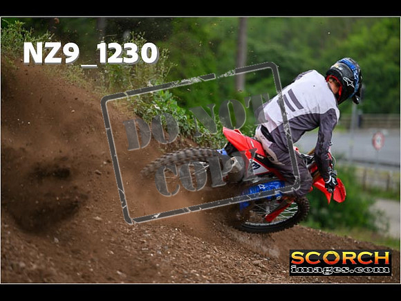 Experts-439