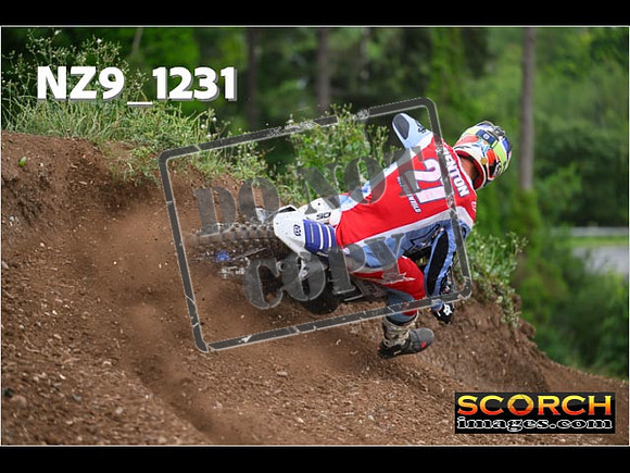 Experts-440