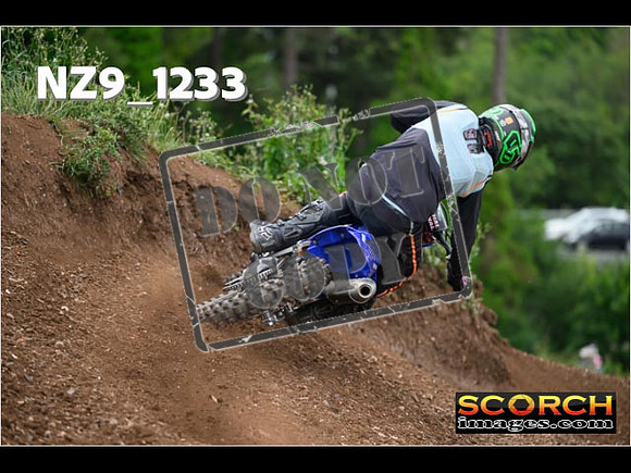 Experts-441