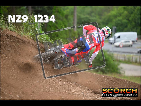 Experts-442