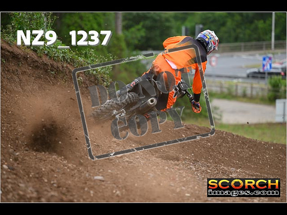 Experts-445