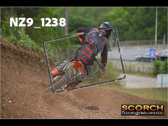Experts-446
