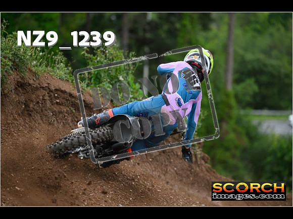 Experts-447