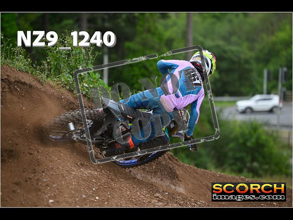 Experts-448