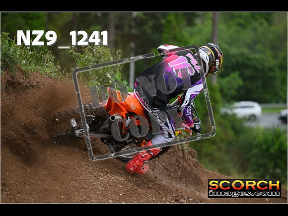 Experts-449