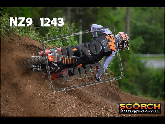 Experts-451