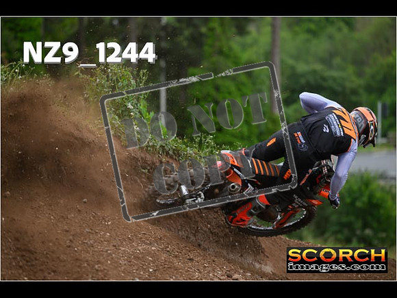 Experts-452