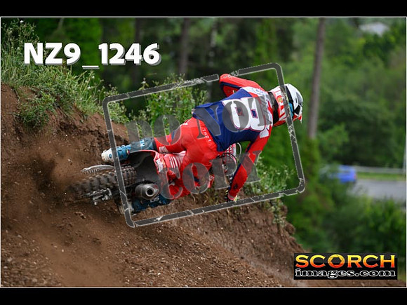 Experts-454
