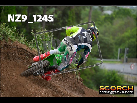 Experts-453