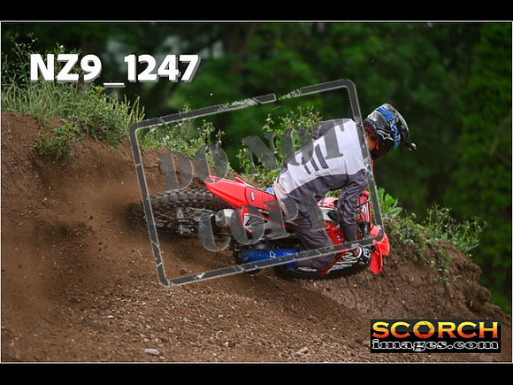Experts-455