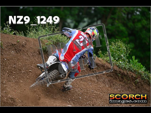 Experts-456