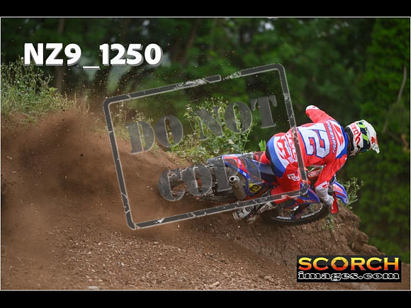 Experts-457