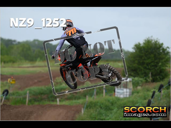 Experts-459