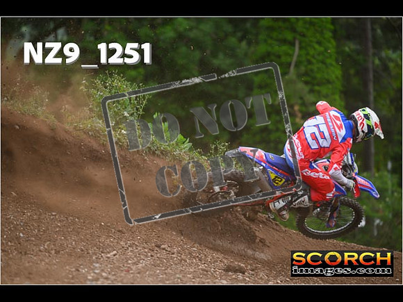 Experts-458