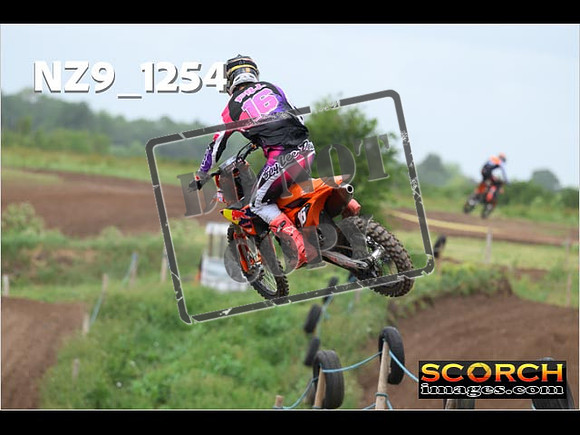 Experts-461