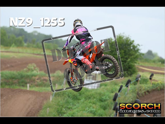 Experts-462