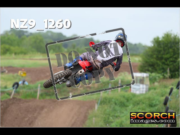Experts-467
