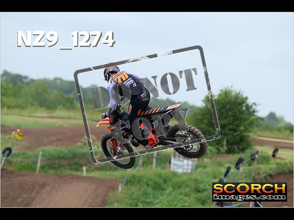 Experts-480