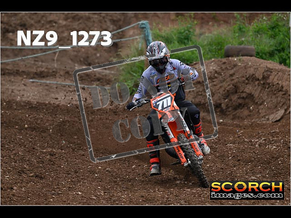 Experts-479