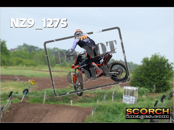 Experts-481
