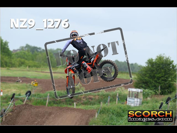 Experts-482