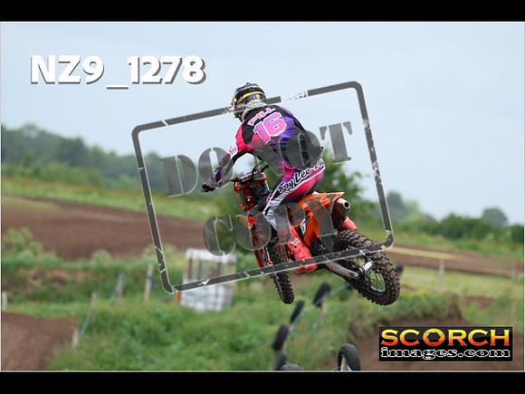 Experts-484