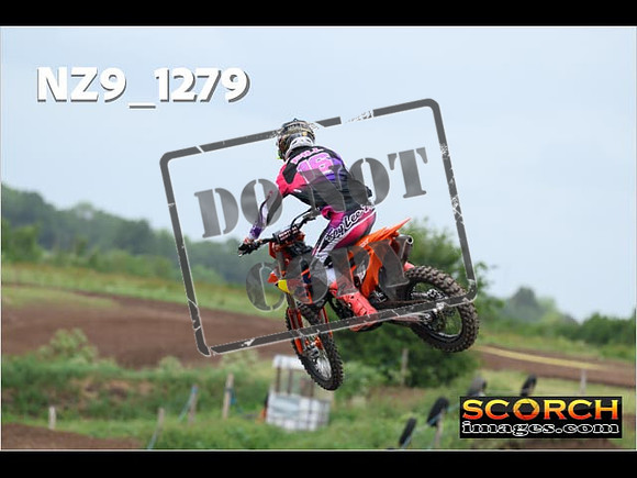 Experts-485