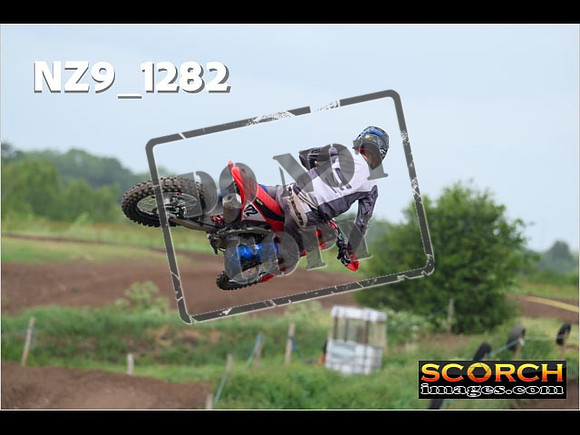 Experts-488