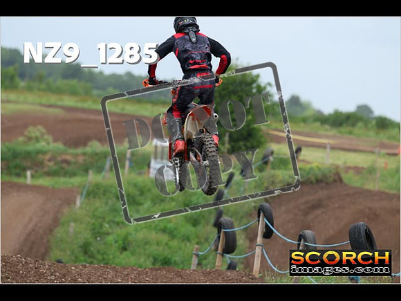 Experts-491