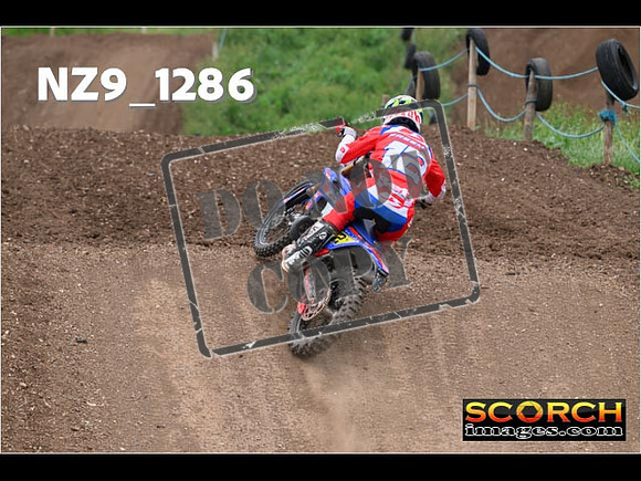 Experts-492