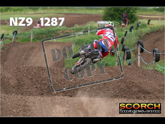 Experts-493