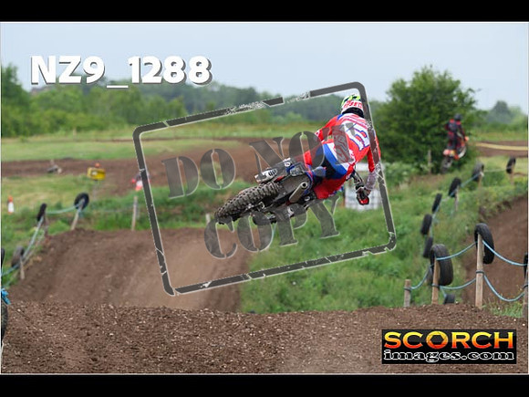 Experts-494