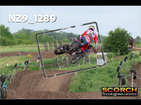 Experts-495
