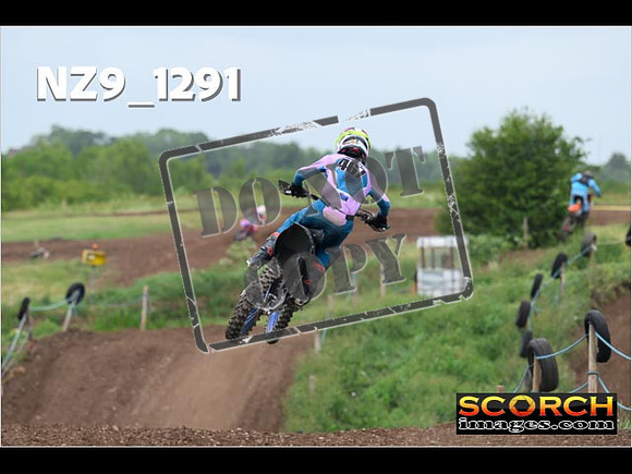 Experts-497