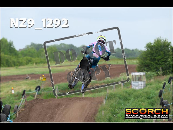Experts-498