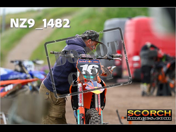 Experts-501