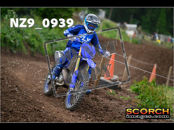 IntersBlue-274