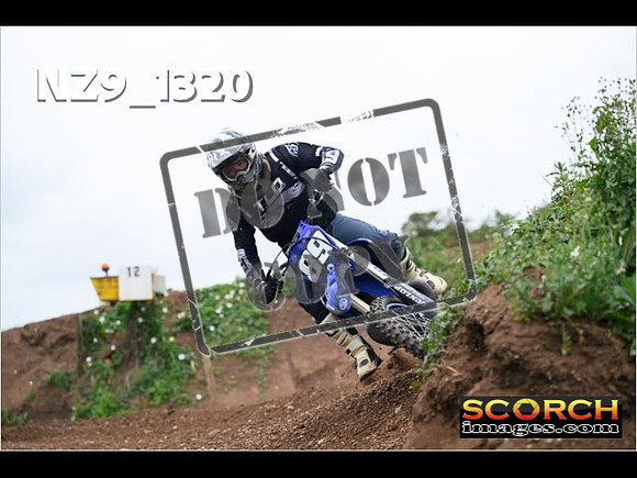 IntersBlue-349